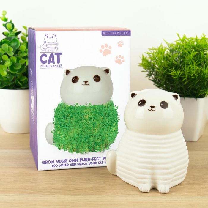 Cat Chia Planter